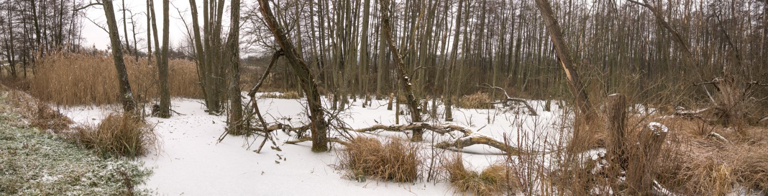 Eisteiche-Jänner-2016