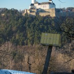 Wandern-Forchtenstein-03