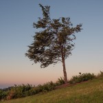 Sonnenaufgang bei der Rosalienkapelle