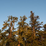 Sonnenaufgang bei der Rosalienkapelle