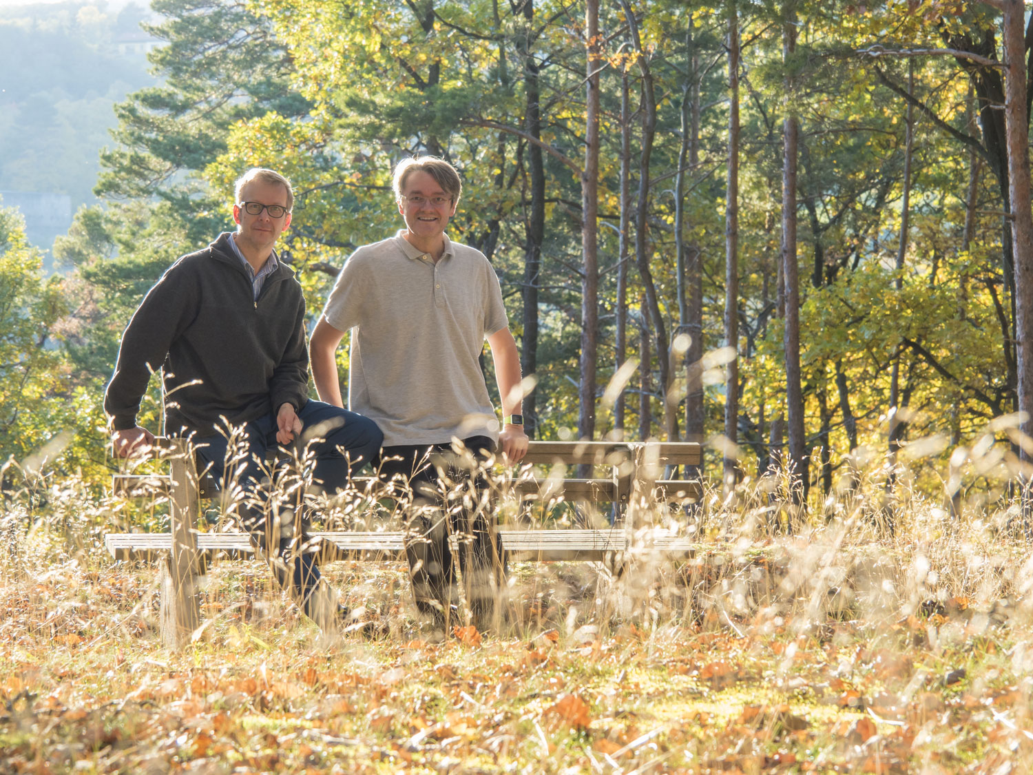 Nordic Walking (Hausberg Forchtenstein)