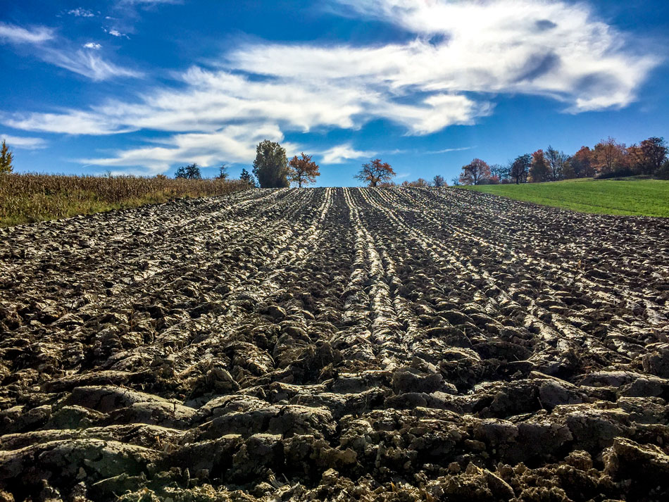 Acker-Herbst-2015