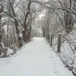 Schnee-in-Forchtenstein-Winter-Nordic-Walking